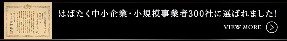 「はばたく中小企業・小規模事業者300社」に選ばれました!